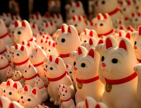 Des dizaines de statuettes de Manekineko blanches et rouges alignées sous le soleil de l’après midi au temple Gotokuji à Tokyo